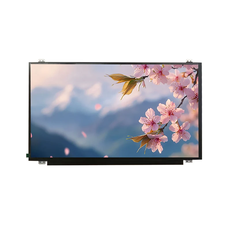 15.6 'HD Wide Temp IPS TFT LCD Layar Modul
