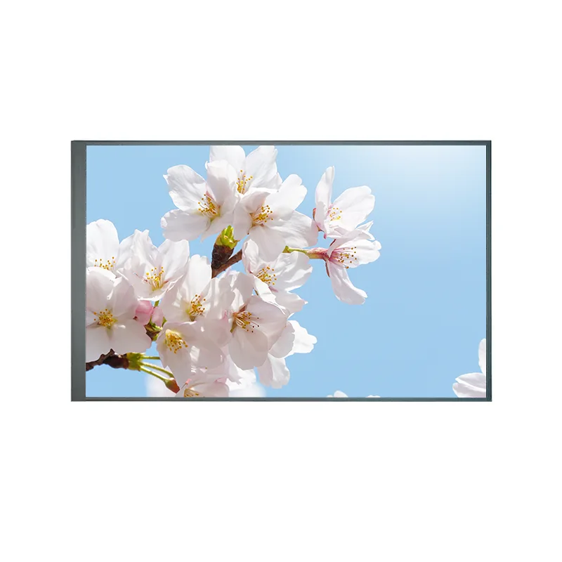 8,0 inci biasanya kembali TFT IPS TFT LCD Layar Modul
