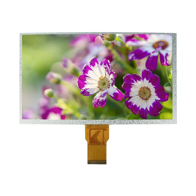 Modul Tampilan LCD Warna Transmisif 9.0 '